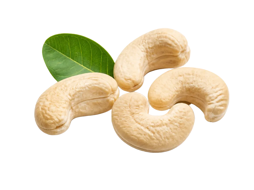 Cashews
